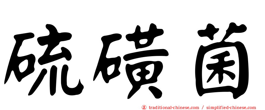 硫磺菌