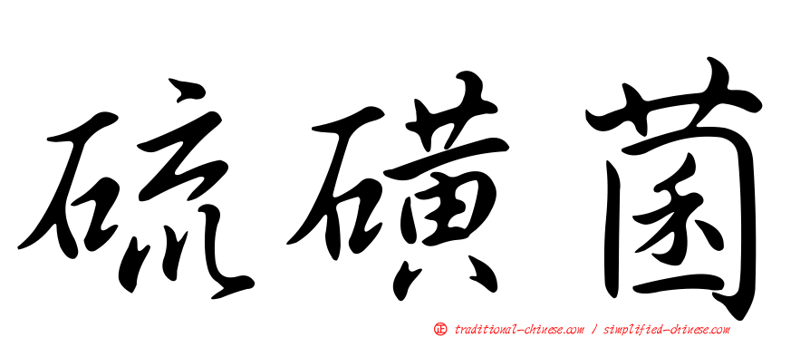 硫磺菌
