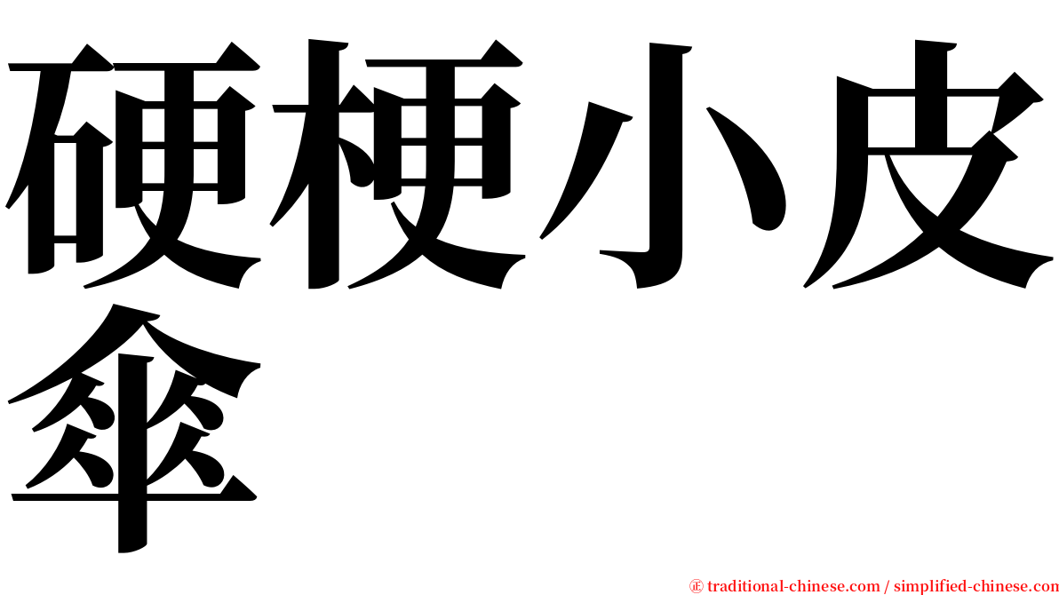 硬梗小皮傘 serif font