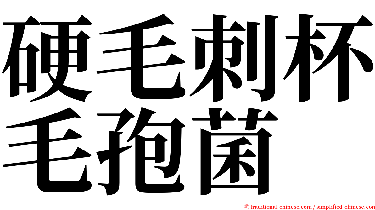 硬毛刺杯毛孢菌 serif font