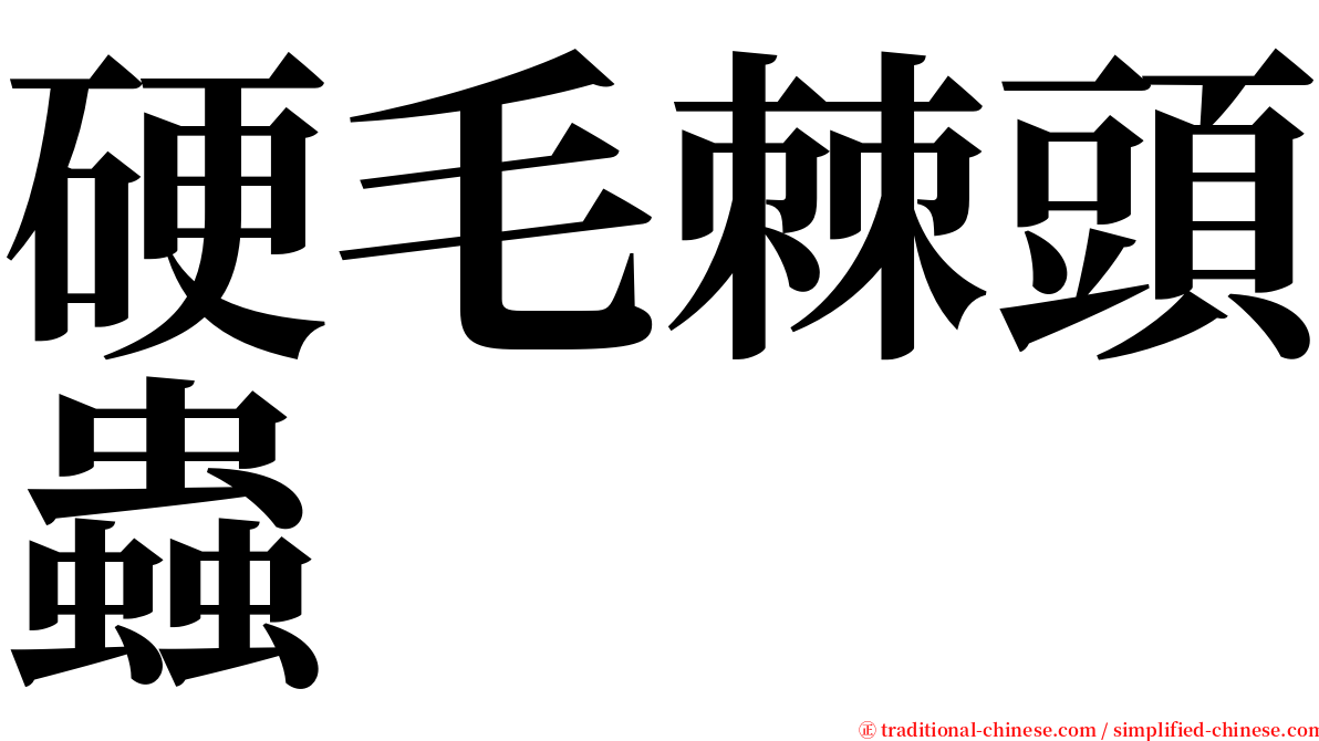 硬毛棘頭蟲 serif font