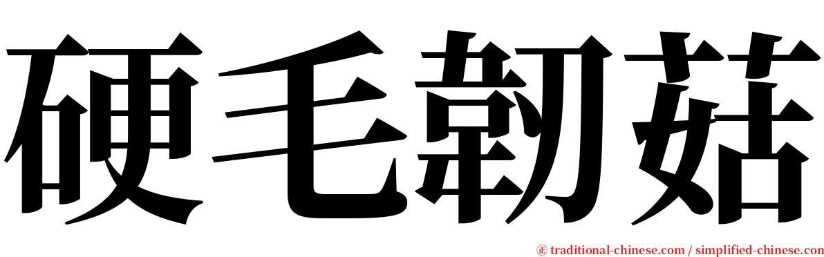 硬毛韌菇 serif font