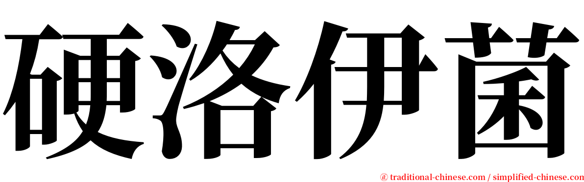 硬洛伊菌 serif font