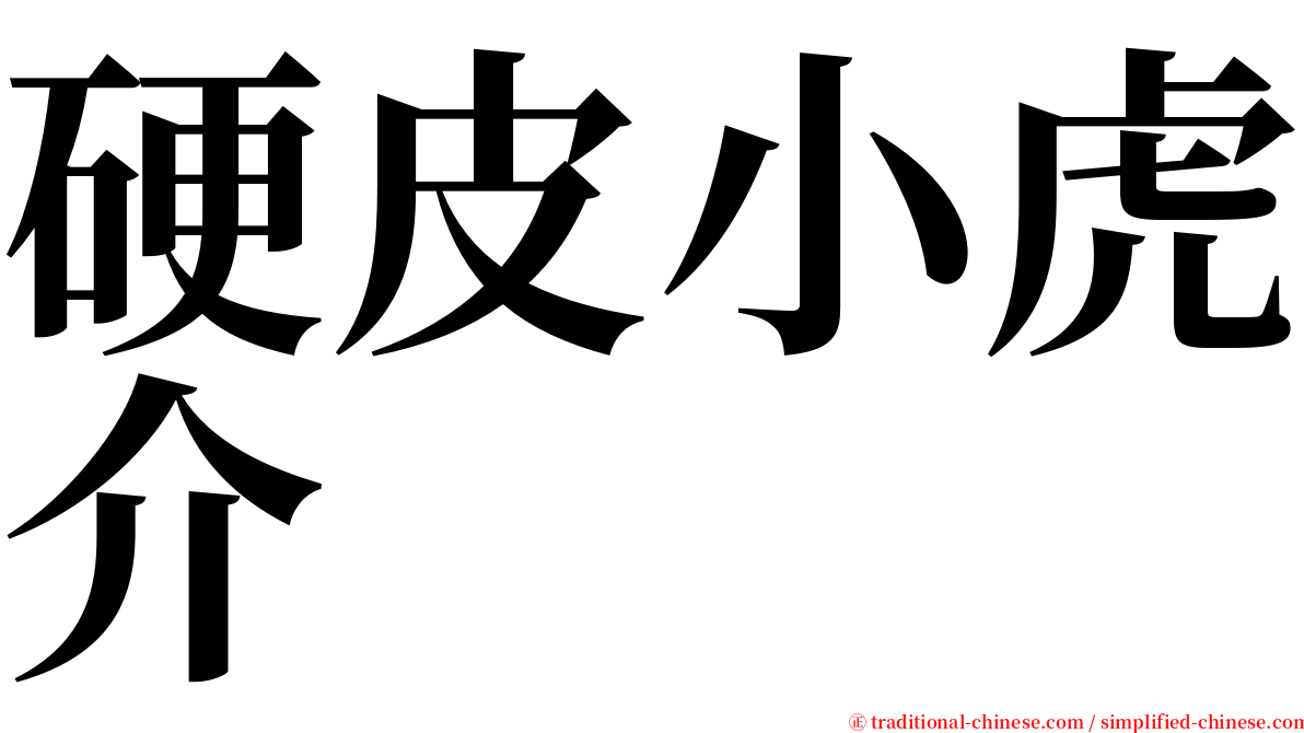 硬皮小虎介 serif font