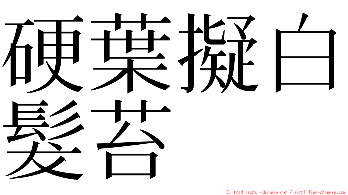 硬葉擬白髮苔 ming font
