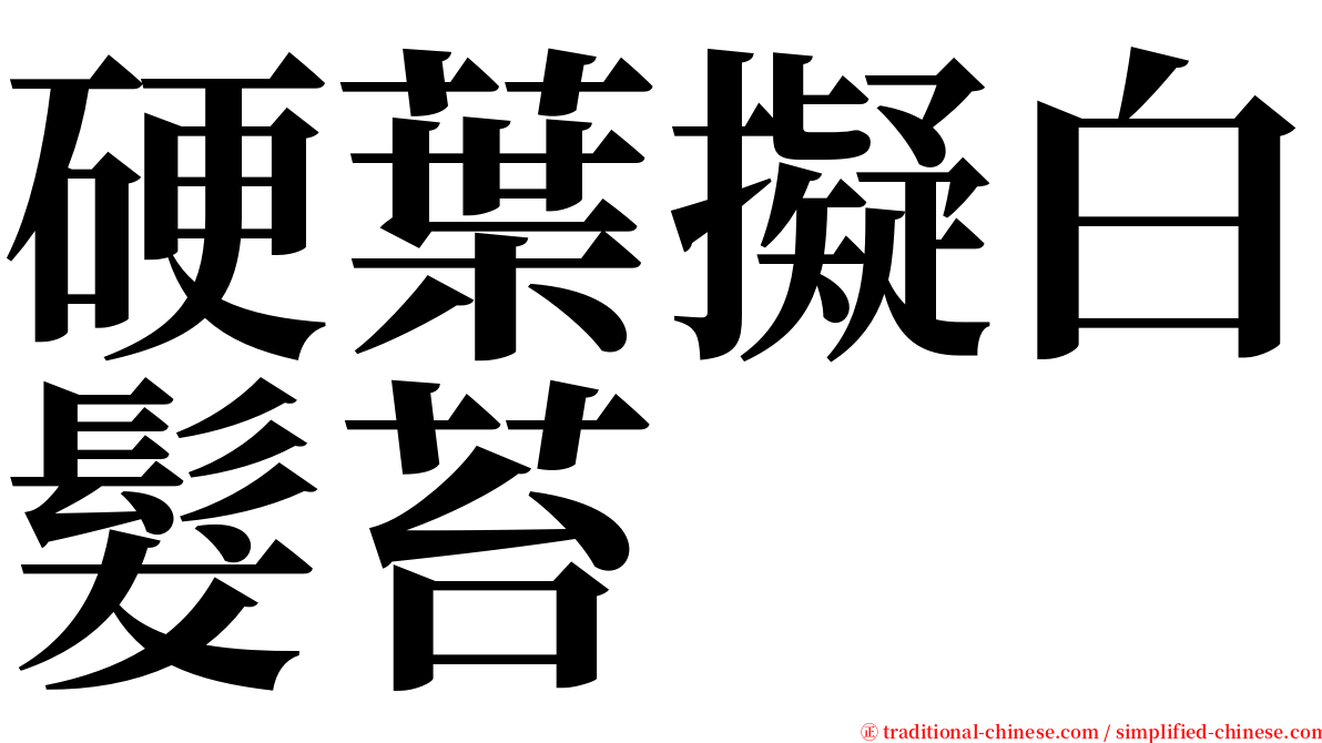 硬葉擬白髮苔 serif font