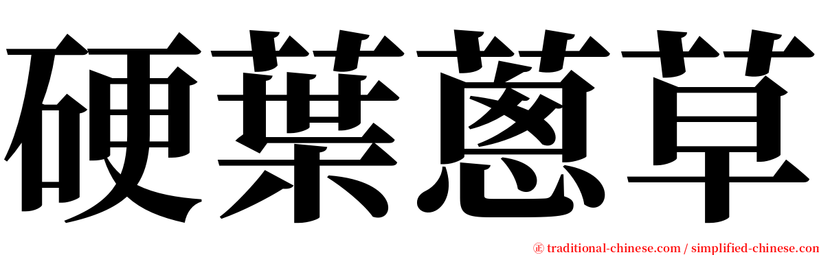 硬葉蔥草 serif font