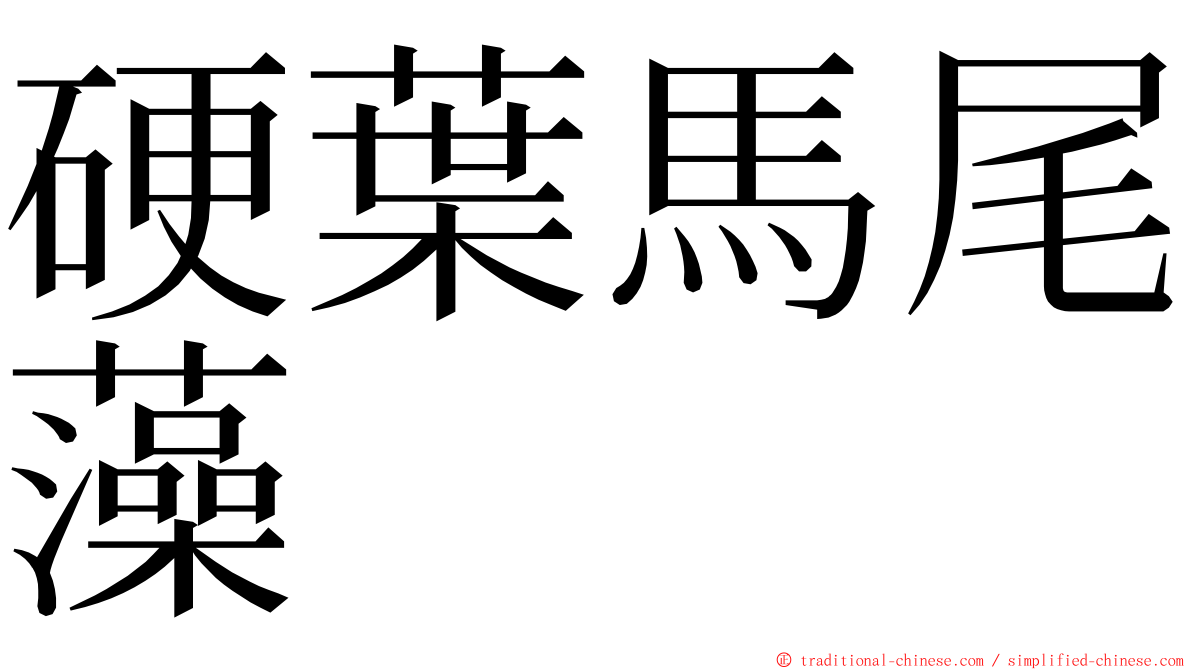 硬葉馬尾藻 ming font