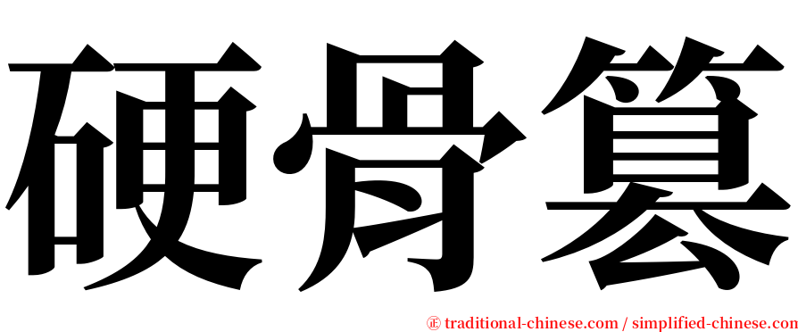 硬骨篡 serif font