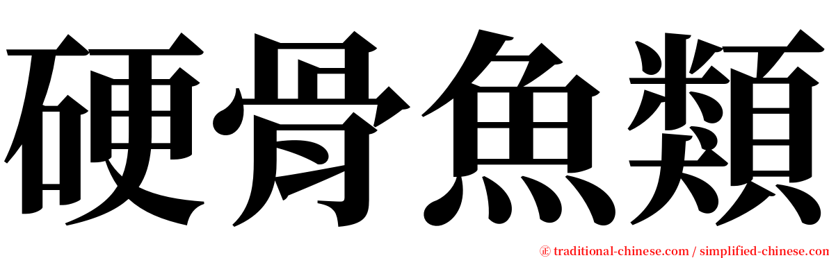 硬骨魚類 serif font