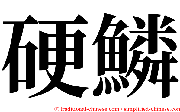 硬鱗 serif font