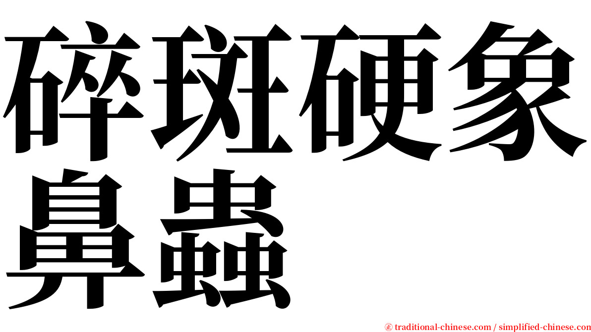 碎斑硬象鼻蟲 serif font