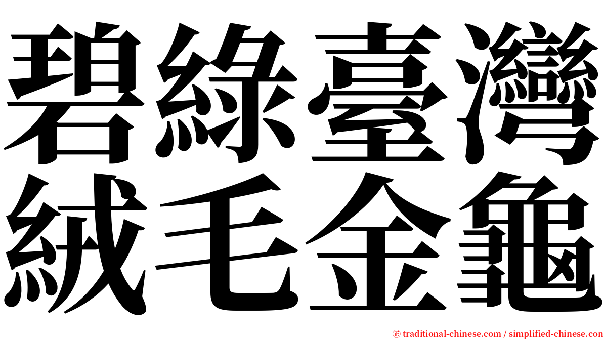 碧綠臺灣絨毛金龜 serif font
