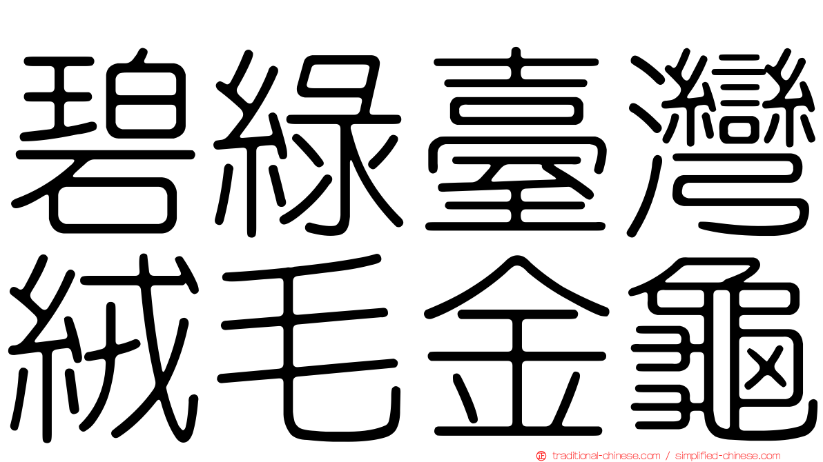 碧綠臺灣絨毛金龜