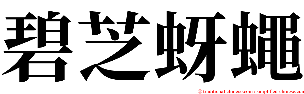 碧芝蚜蠅 serif font