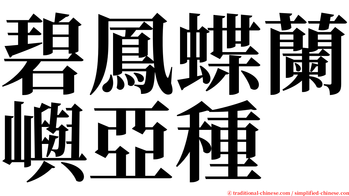 碧鳳蝶蘭嶼亞種 serif font