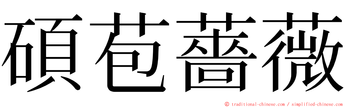 碩苞薔薇 ming font