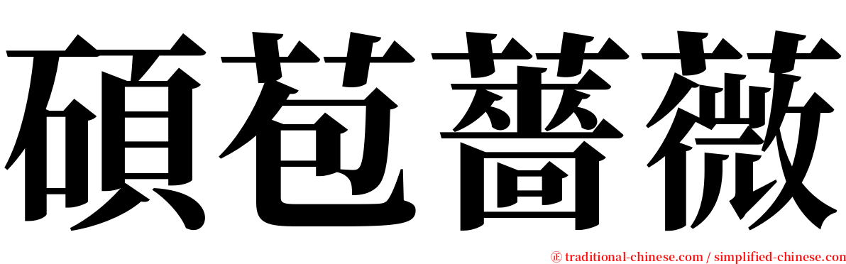 碩苞薔薇 serif font