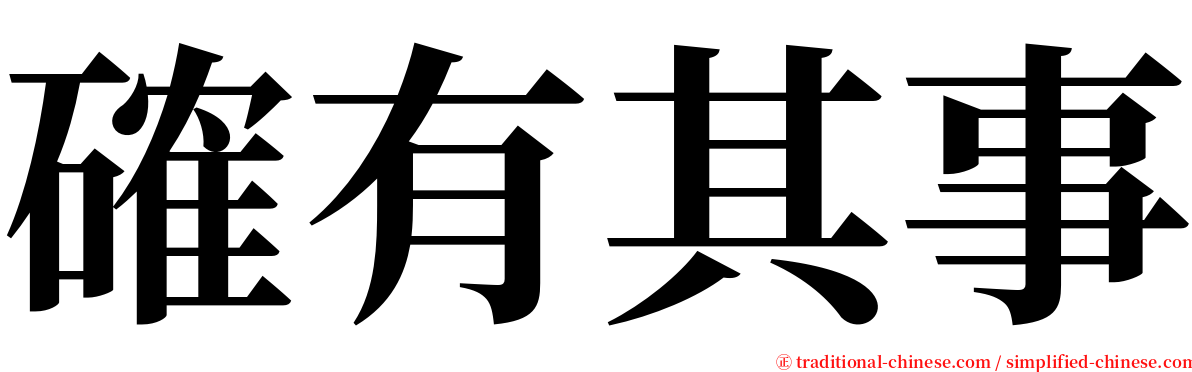 確有其事 serif font