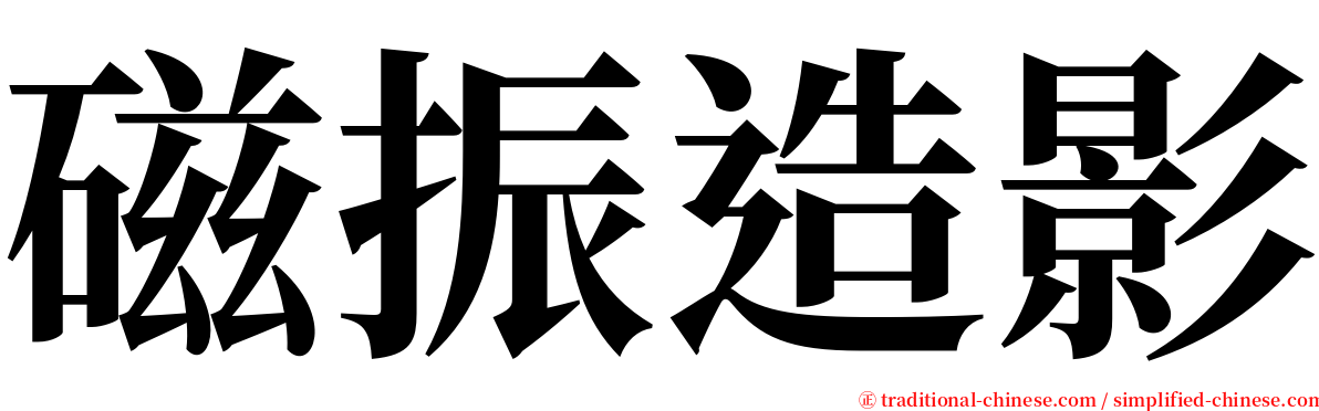 磁振造影 serif font