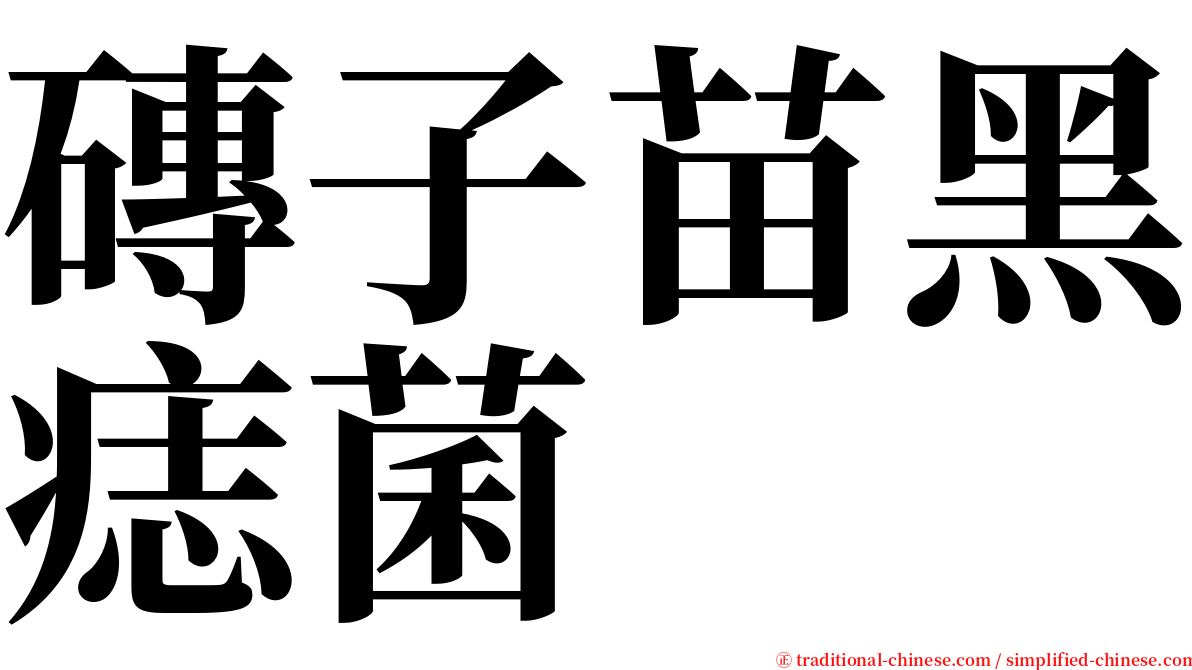 磚子苗黑痣菌 serif font