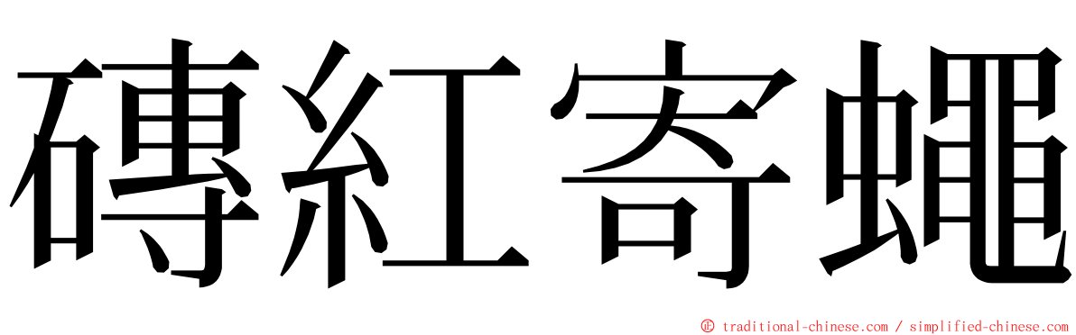 磚紅寄蠅 ming font