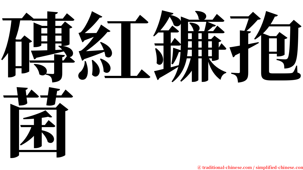 磚紅鐮孢菌 serif font