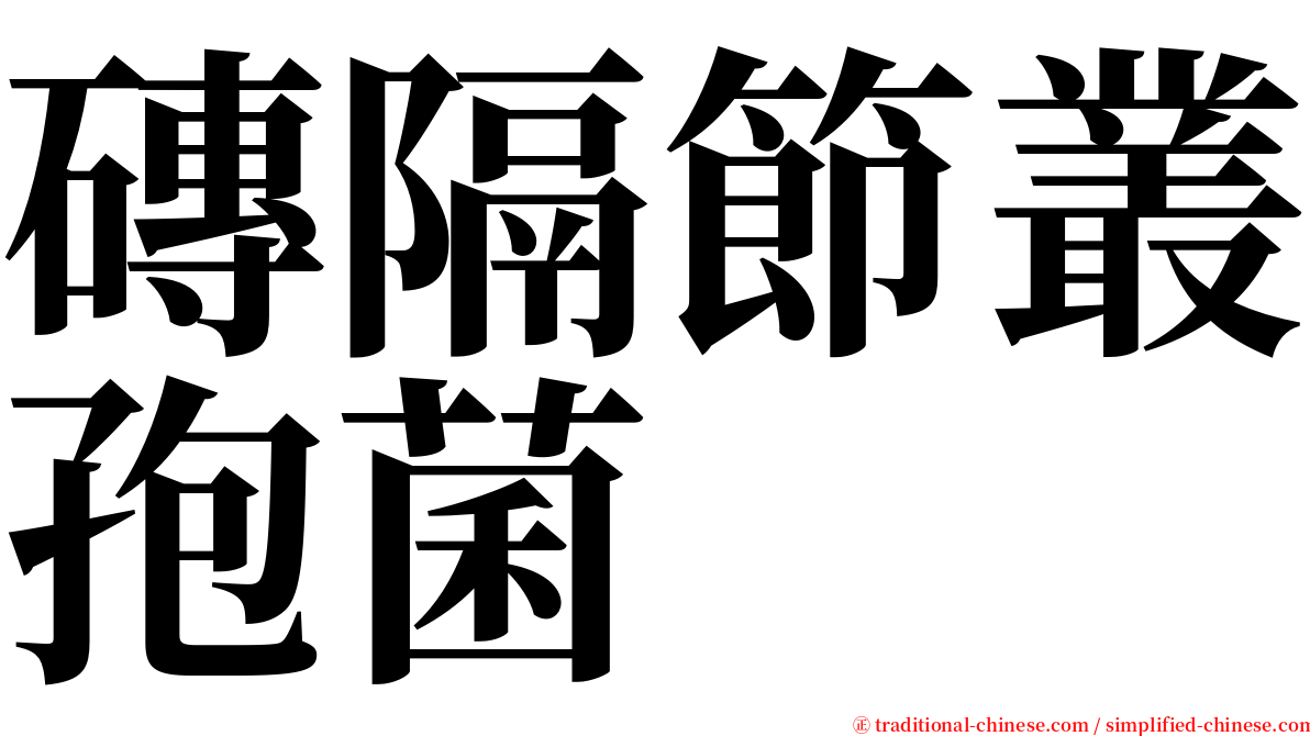 磚隔節叢孢菌 serif font