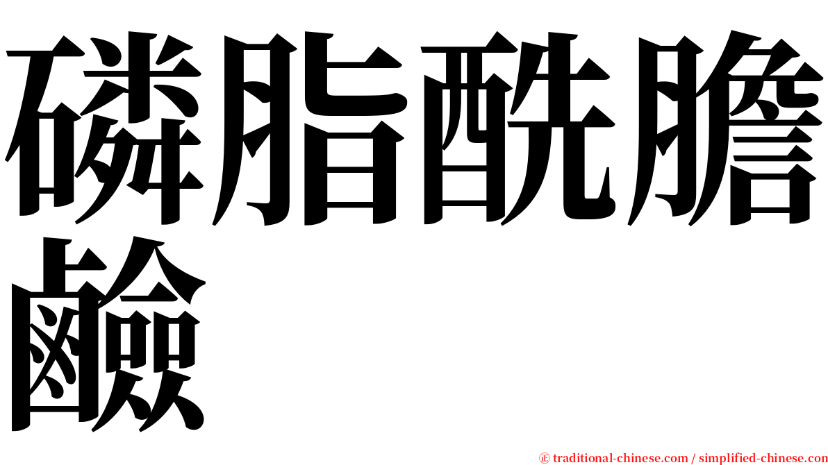 磷脂酰膽鹼 serif font