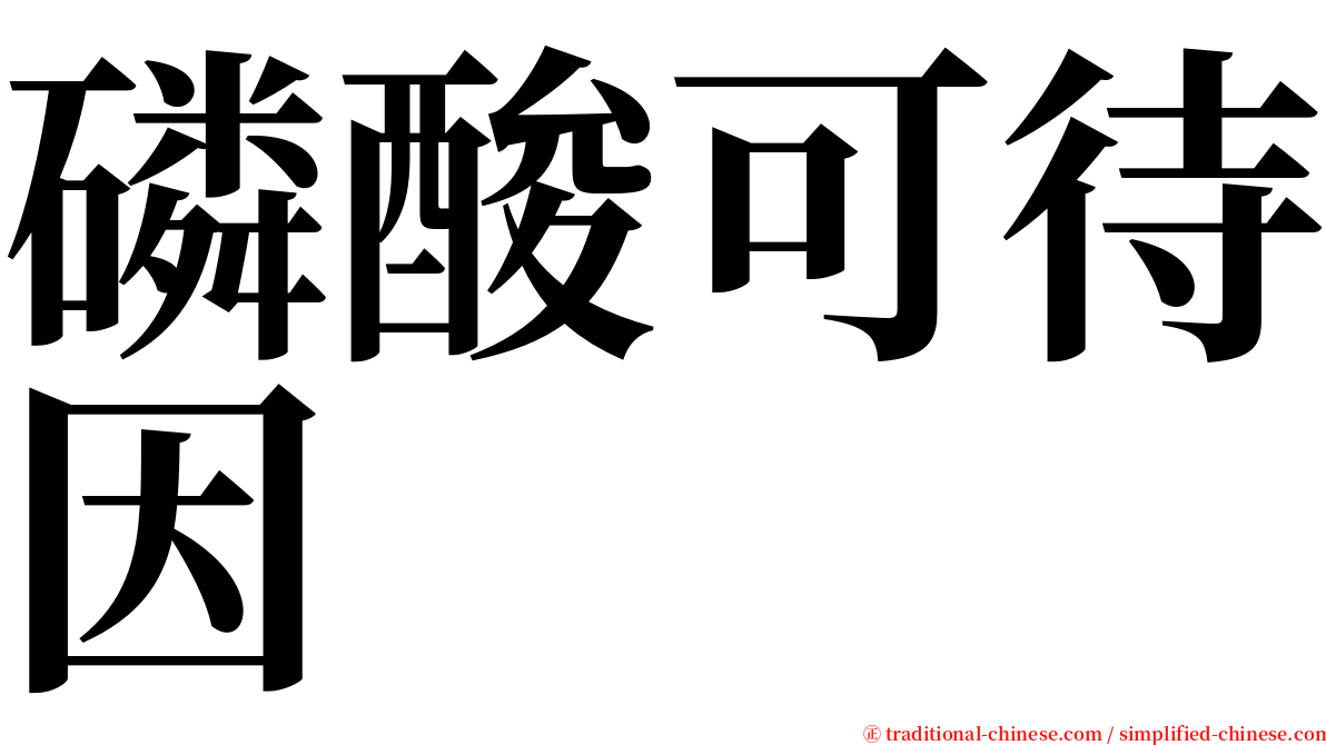 磷酸可待因 serif font