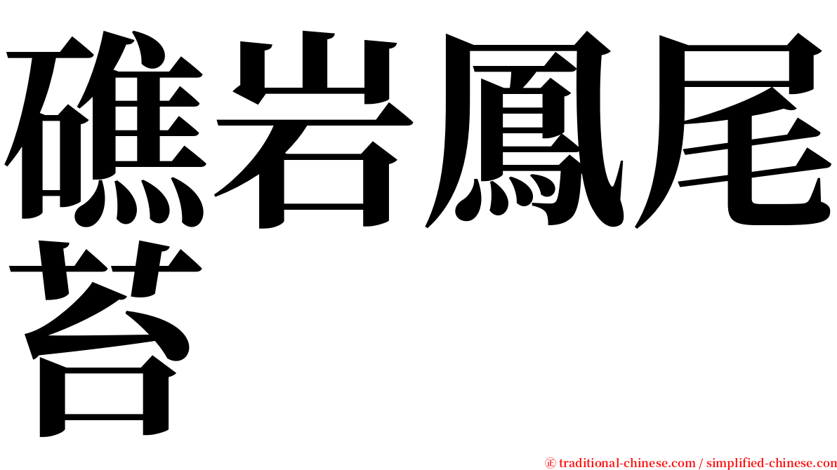 礁岩鳳尾苔 serif font