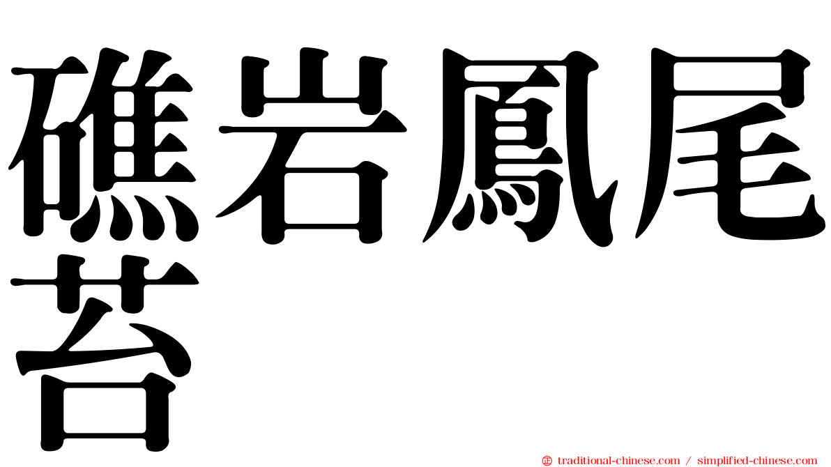 礁岩鳳尾苔