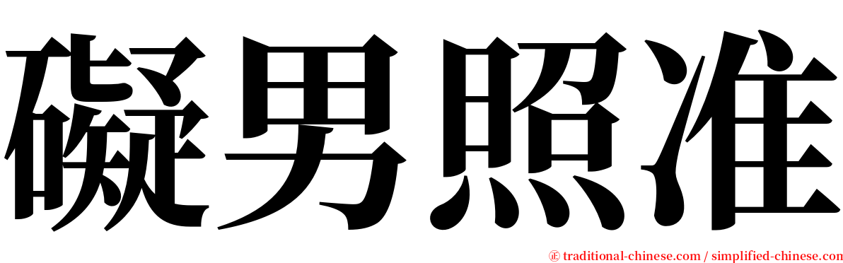 礙男照准 serif font