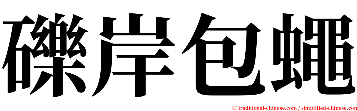 礫岸包蠅 serif font