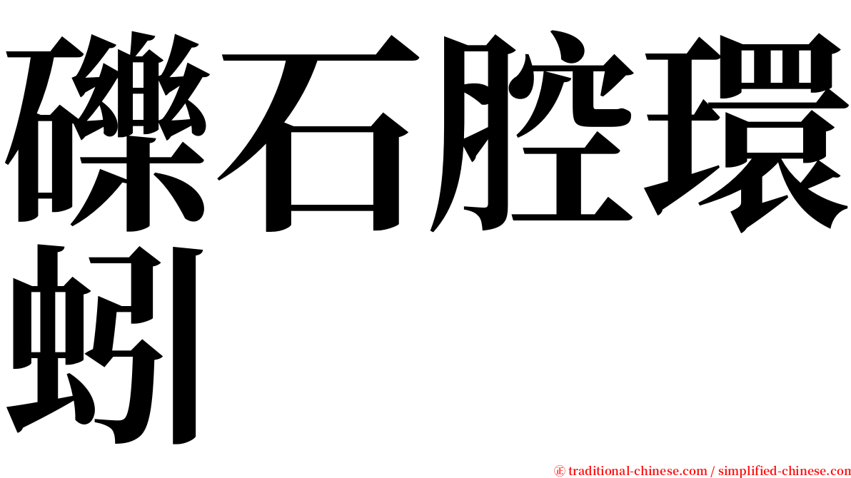 礫石腔環蚓 serif font