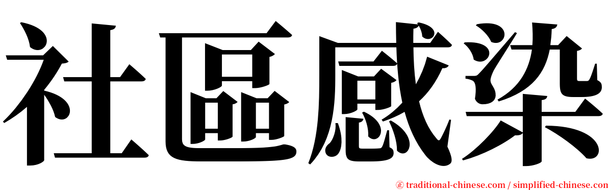 社區感染 serif font