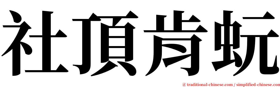 社頂肯蚖 serif font