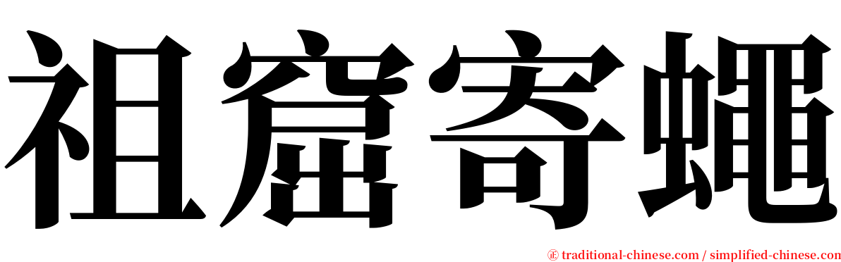 祖窟寄蠅 serif font