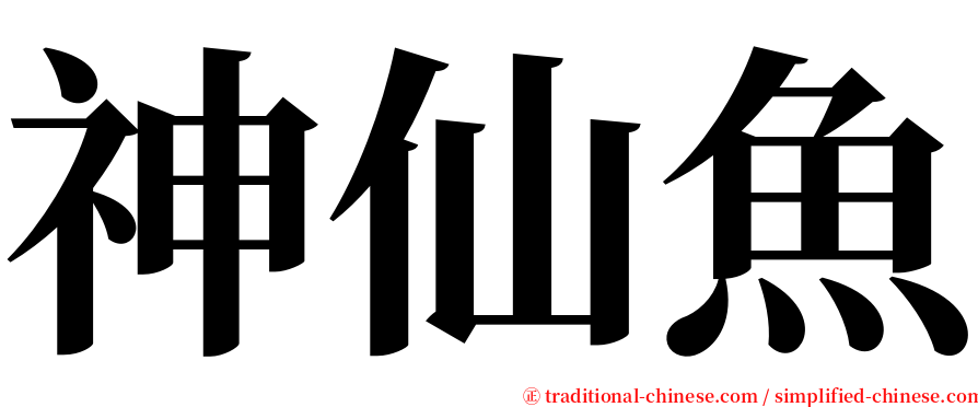 神仙魚 serif font