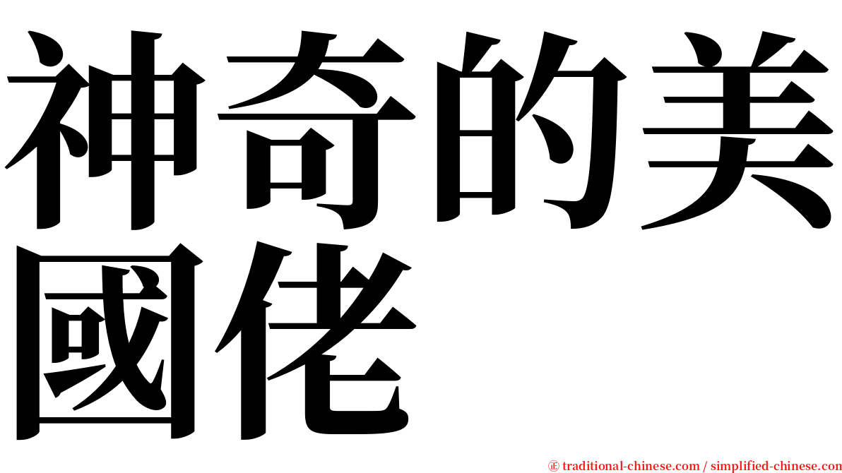 神奇的美國佬 serif font