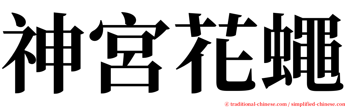 神宮花蠅 serif font