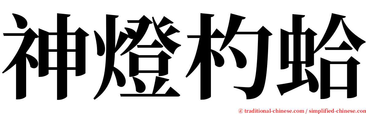 神燈杓蛤 serif font