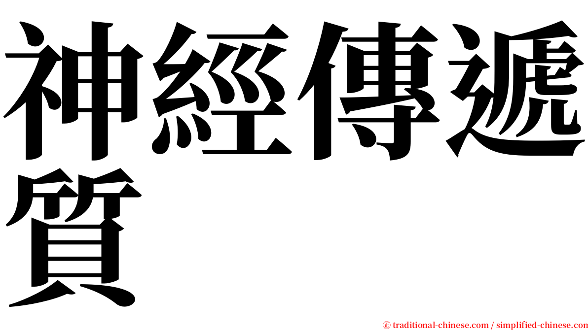 神經傳遞質 serif font