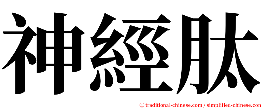 神經肽 serif font