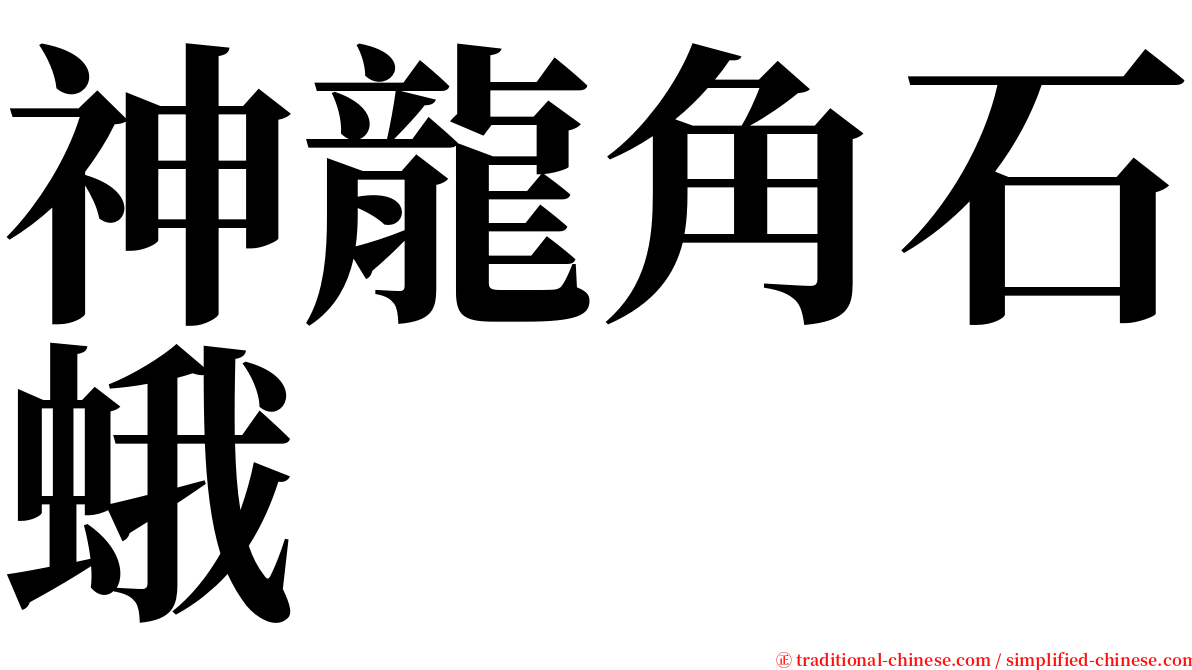 神龍角石蛾 serif font