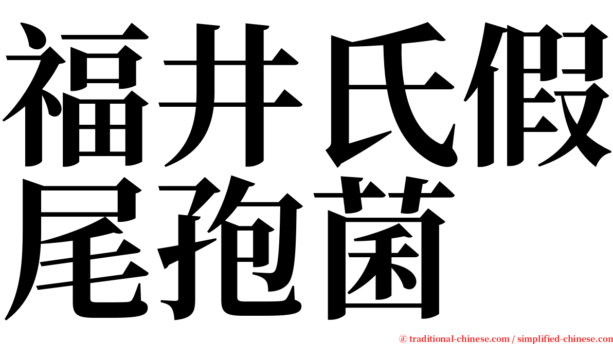 福井氏假尾孢菌 serif font