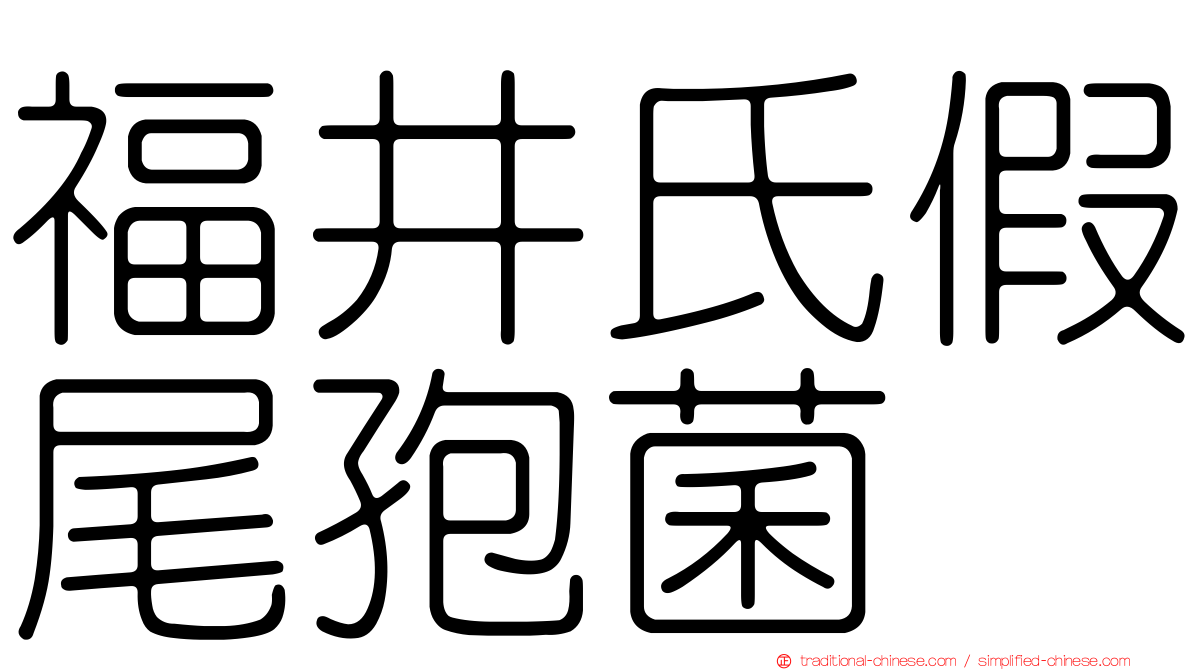 福井氏假尾孢菌