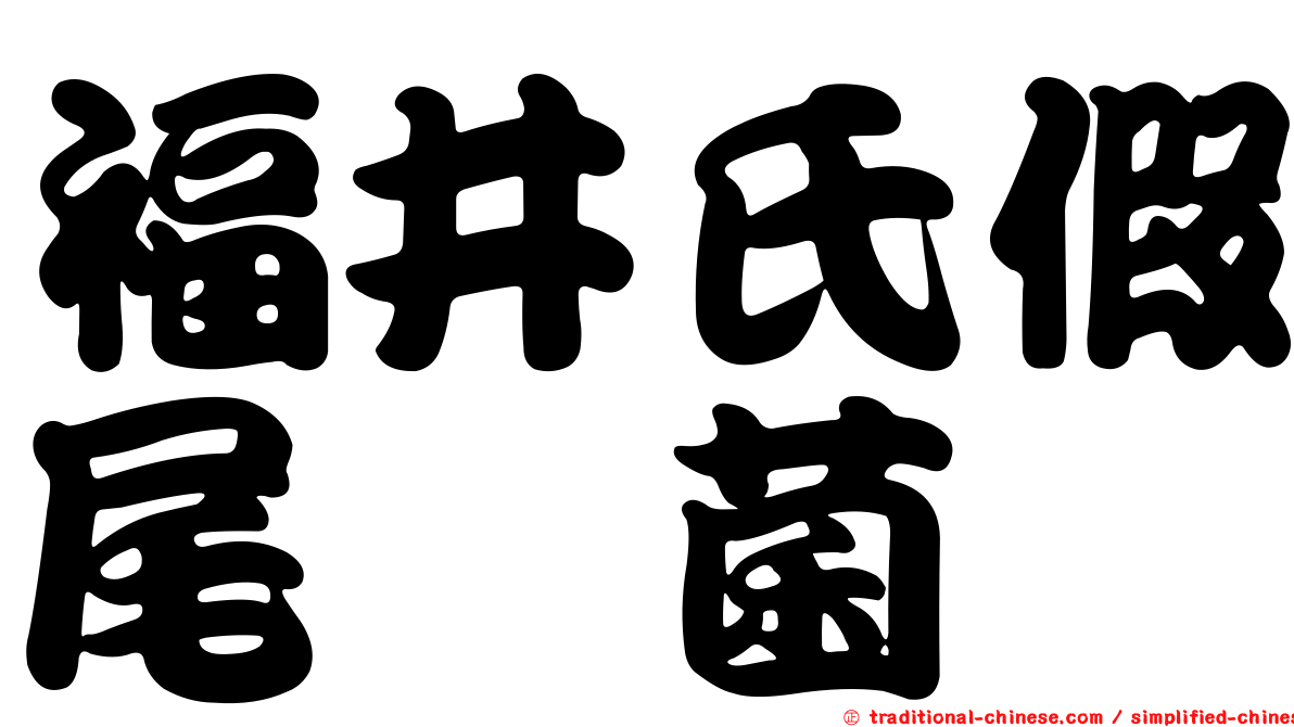 福井氏假尾孢菌