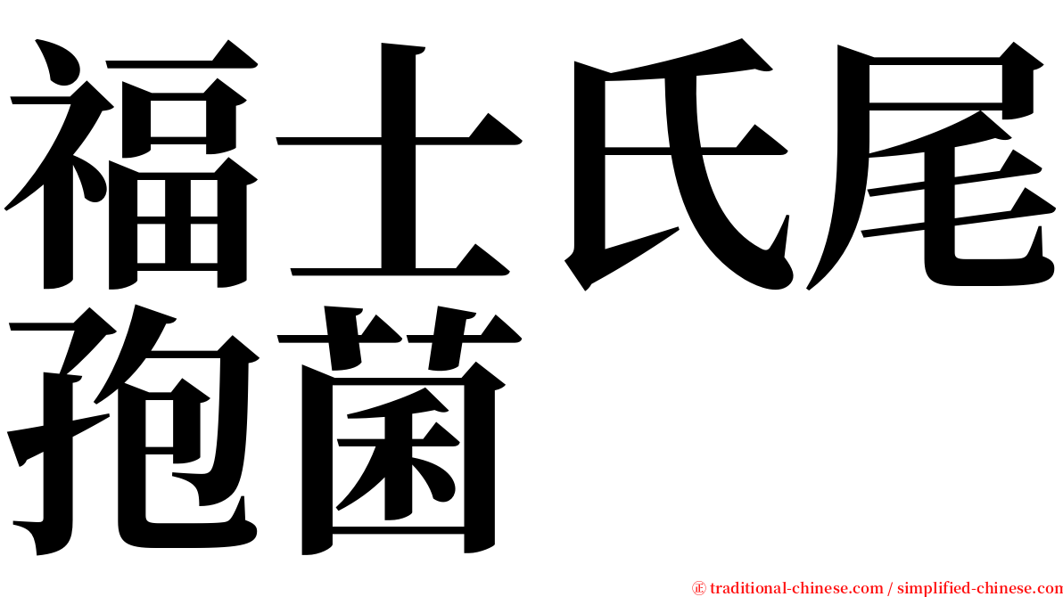 福士氏尾孢菌 serif font