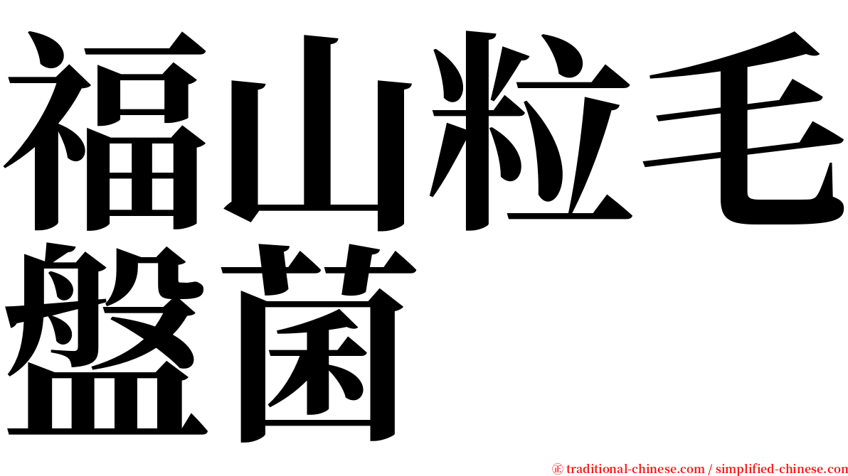 福山粒毛盤菌 serif font